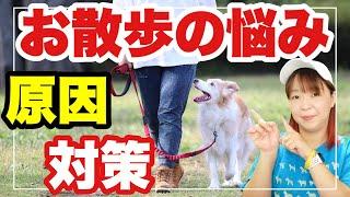 【犬 お散歩の悩み】引っ張る・歩かない 原因と対策を知ってトレーニングしましょう！