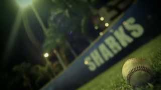 NSU Sharks Baseball