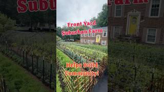 Suburban Farm: Builds Community #growyourownfood #suburbanfarm #sustainablesolutions