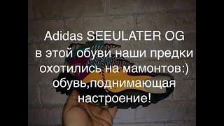 Обзор на позитивные кроссовки Adidas SEEULATER OG