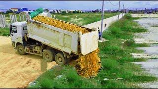 Good Job Starting Project!! DumpTtruck 22-Ton Bulldozer KOMATSU Push Soil Into Landfill Delete Water