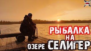 ОТДЫХ и РЫБАЛКА НА СЕЛИГЕРЕ В ОКТЯБРЕ. ЛОВЛЯ ЩУКИ И ОКУНЯ. РЕКА Селижаровка