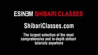 Shibari suspension with multiple transitions and one-leg inversion