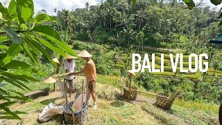 Bali Vlog: Canggu, Ubud and Uluwatu