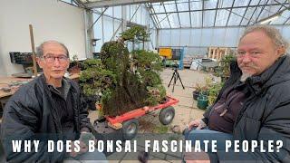 Why does Bonsai fascinate people?