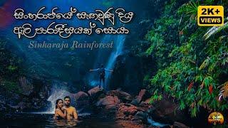 Sinharaja Rainforest | Lankagama Travel Vlog | ලංකාගම හරහා සිංහරාජයේ සැඟවුණු දිය ඇලි සොයා - LK