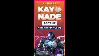 KAYO  NADE LINEUP - Anti Killjoy Ascent [A]