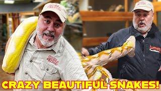 Angry Momma Python Defends Her Eggs!  (I Had to Act Fast!)