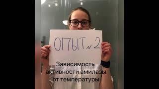 Зависимость активности амилазы от влияния различных факторов. Методика эксперементов.