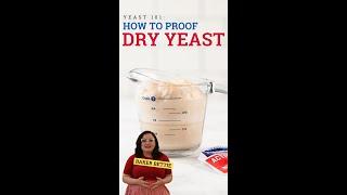 Yeast 101: How To Proof Dry Yeast