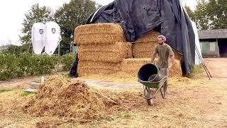 Making hay for the winter for cattle / hay for bulls / What does a cow eat? #farming #farmlife