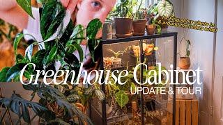 update on my ikea greenhouse cabinet plants!! 🪴 a houseplant tour in & around my rudsta wide