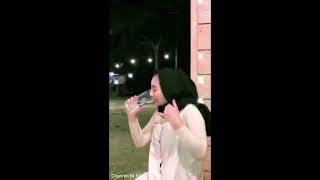 tik tok gunung gede bibit unggul