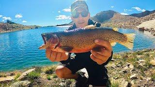 Fishing Three Alpine Lakes in One Day for Big Colorado Cutthroat Trout! Plush a Catch and Cook!