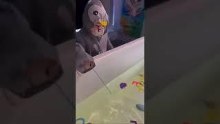 Kicca interactive playground #playtime #kidsvideo #kicca