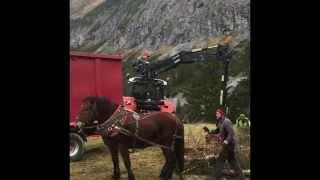Bauhof Lech am Arlberg, Forstarbeiten Hoher Bühl