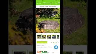 Hitsad мобильная версия интернет магазина