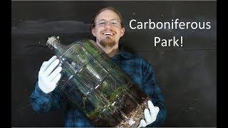 Cody’s Carboniferous Terarium