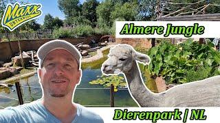 Almere Jungle | Dschungelabenteuer und Tempel | Niederlande