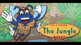 Let's Explore The Jungle