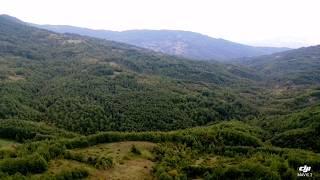 KING OF TRUFFLES site - Secret truffle hunting lands