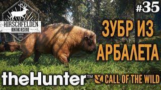 theHunter call of the wild #35  - Зубр Из Арбалета - Арбалет, Винтовка - Зубр, Кабан, Косуля