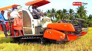 Amazing Rice Cutting Video - Rice Cutting Machine in VietNam - Song for Kids Dance