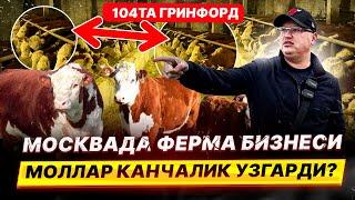 МОСКВАДА ФЕРМА БИЗНЕСИ МОЛЛАР КАНЧАЛИК УЗГАРДИ 104 ТА ГРИНФОРД @TOMOSHATVN1