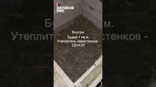 Кожуховский приют выкинули на свалку