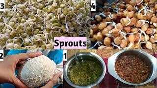 Sprouts ని ఎలా ఇంతలో prepare చేస్కొచు |  Sprouts | How to sprout pulses at home