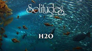 1 hour of Relaxing Music: Dan Gibson’s Solitudes - H2O (Full Album)