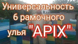 Улей "Apix" на моей пасеке четвертый сезон. Расширение пасеки и много меда!!!