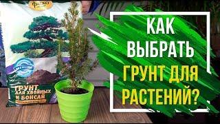 Какой грунт выбрать для цветов ️  грунты, цветы, выращивание