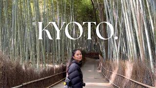  Kyoto Vlog | Arashiyama Bamboo Forest, Fushimi Inari-taisha, temple visits, monkeys & piggys etc.