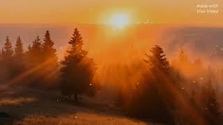 Jim Yosef - Lights | Joshgames Beats