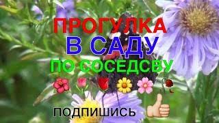 078А ПРОГУЛКА В САДУ ПО СОСЕДСВУ 