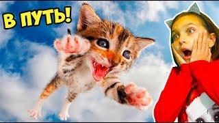 КОТЫ ЛЕТУНЫ! ЛУЧШИЙ НЕ ЗАСМЕЙСЯ ЧЕЛЛЕНДЖ с КОТАМИ Попробуй не засмеяться Валеришка Тест на психику