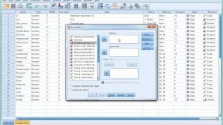 SPSS Tutorial 6 - Introducing Cross-tabulation