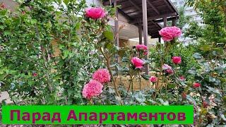 АПАРТАМЕНТЫ с РЕМОНТОМ по ЛУЧШИМ ценам  в ЖК Кубанская марка  #обзор #квартира #Геленджик