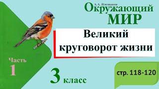 Великий круговорот жизни. Окружающий мир. 3 класс, 1 часть. Учебник А. Плешаков стр. 118-120