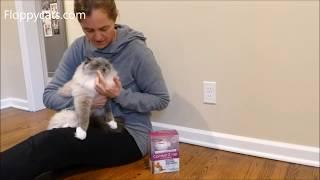 Does Feliway Work? Comfort Zone Feliway Cat Plug-in Diffuser Review