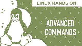 Linux Hands On: The Advanced Terminal Commands