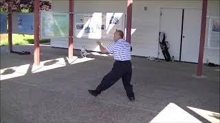 Grandmaster Wing Lam 2013 Bagua During Private Lesson