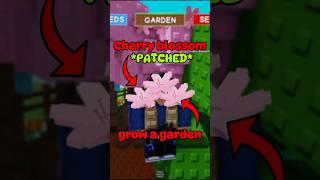 Cherry Blossom Tree in Grow A Garden #growagarden