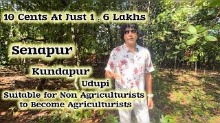 10 Cents at 1.6 Lakh Only | Senapur | Getting Agriculturalist Title Made Easy #kundapura #udupi