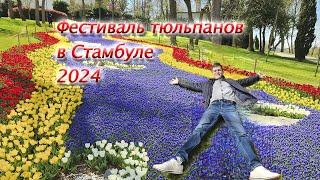 Фестиваль тюльпанов в Стамбуле. Эмирган парк 2024