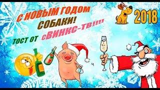 С Новым Годом собаки! Тост  от Свинкс-ТВ, в стихах и песнях...Для взрослых! Новый год 2018,  16+