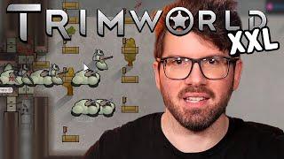 Meine Defense ist katastrophal..  | (T)Rimworld XXL