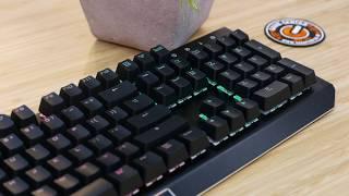 Trust GXT 890 Cada RGB - Mechanical Gaming Keyboard - UNBOXING 4K