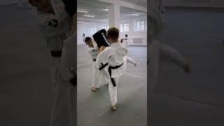 kyokushin karate training session #shorts #kyokushinway